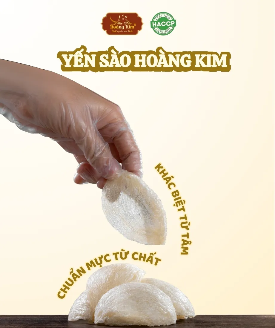 Quy trình chế biến Yến Sào Hoàng Kim – Sự khác biệt từ thủ công và chất lượng