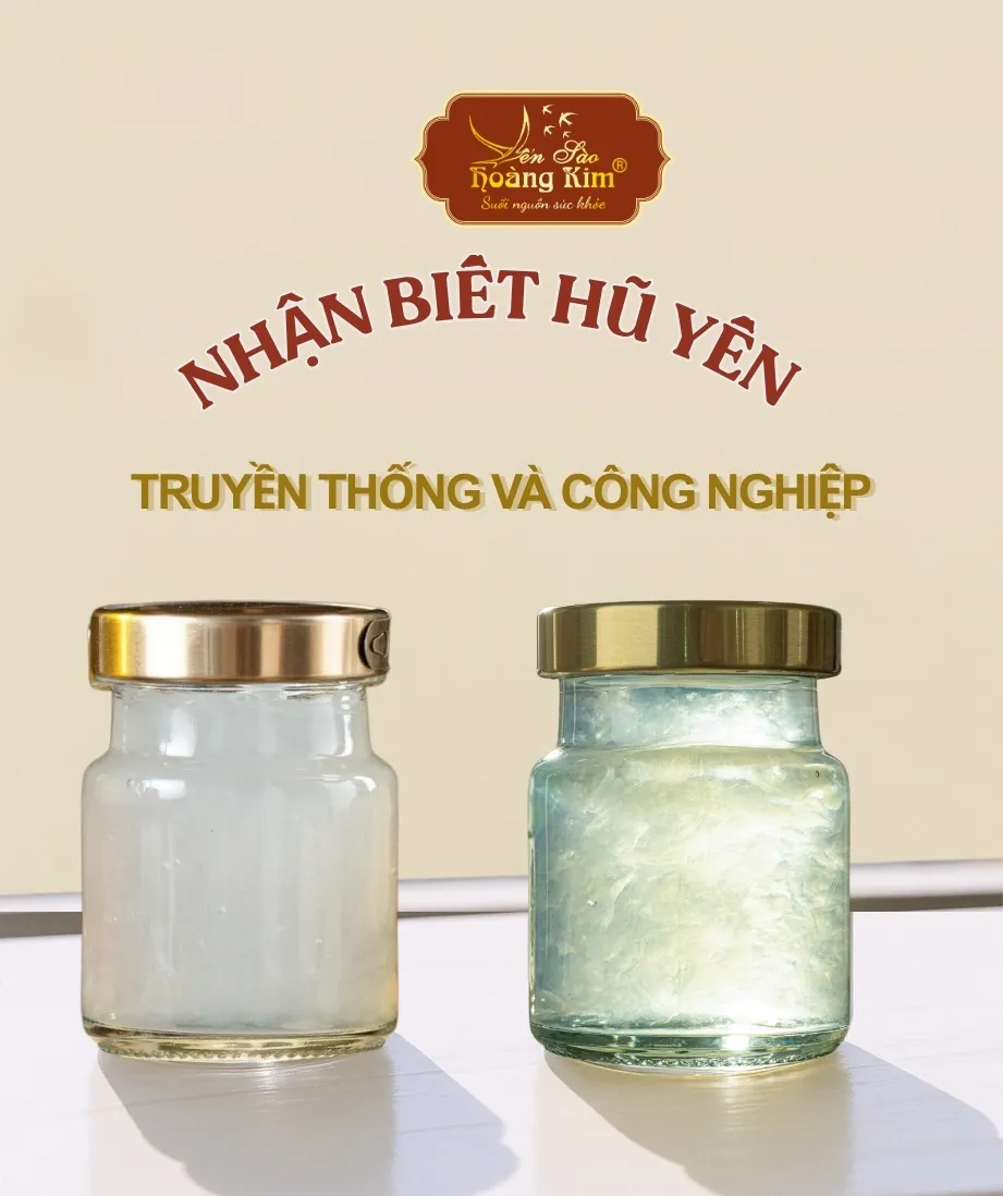 Phân Biệt Yến Hũ Công Nghiệp &amp; Yến Hũ Truyền Thống Hướng Dẫn Chọn Yến Thật 100%