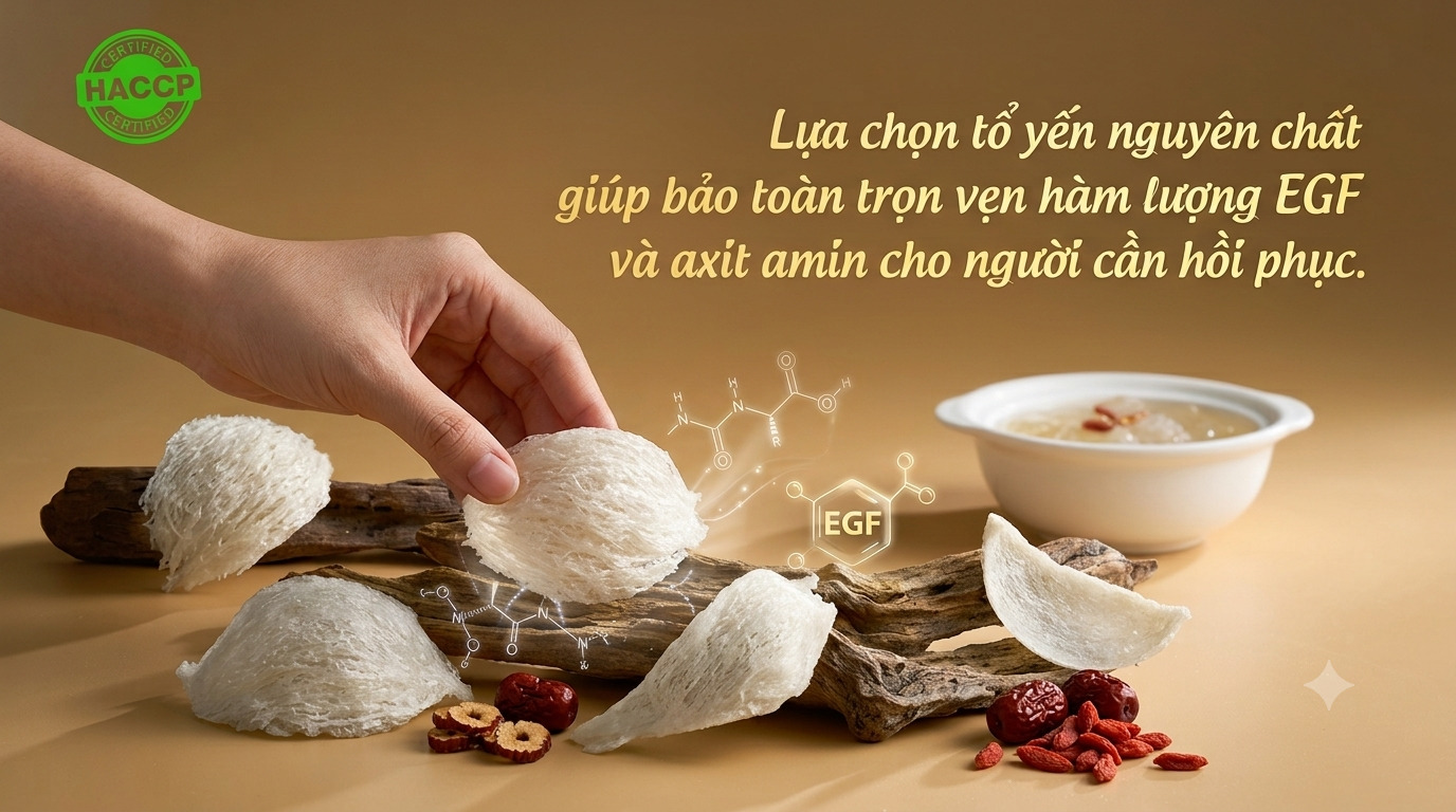 Lựa chọn tổ yến nguyên chất